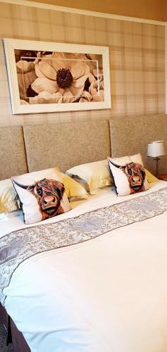 Hostal Moyness House
