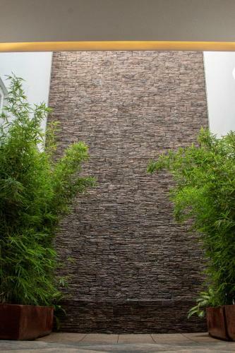 Hotel Nueve Agaves