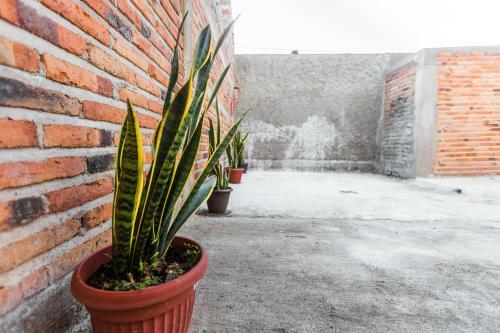 Apartamento Departamento Lily En El Centro De Tequila