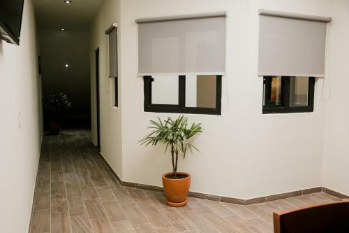 Apartamento Casa Volcan X Santiago De Tequila