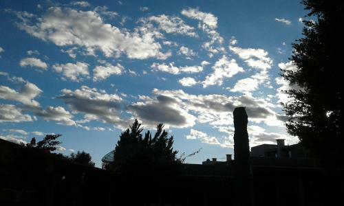 Hotel Dal�