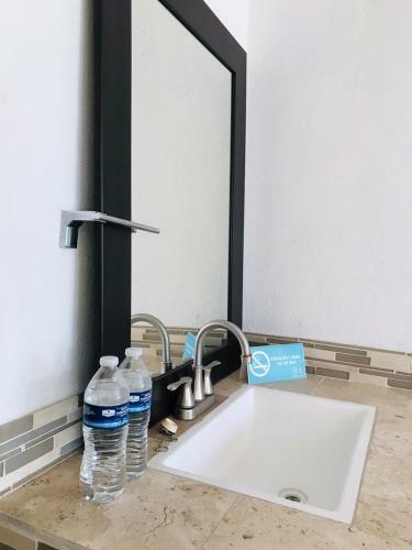 Apartamento Jardin Zen