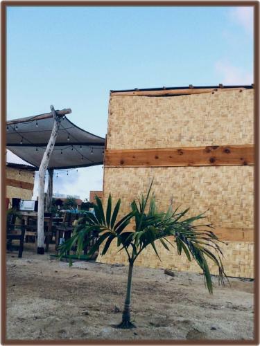 Camp - Santos