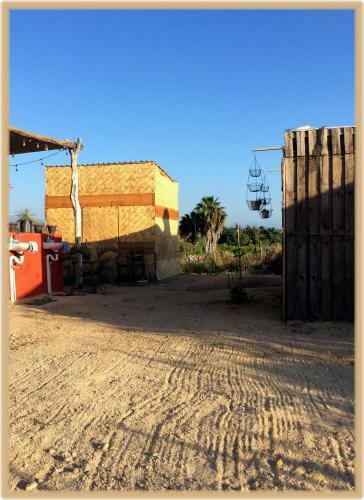 Camp - Santos