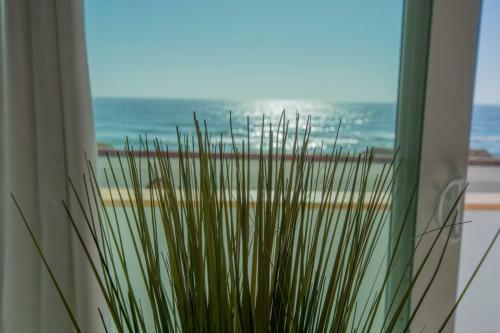 Apartamento Beachfront Breathtaking 1 Bedroom Apt