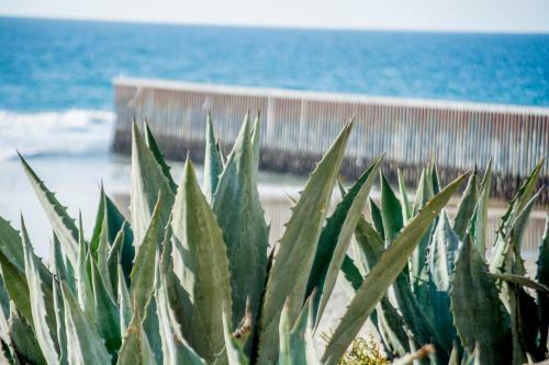 Apartamento Beachfront Condo - 2 Bdr 2 Bth