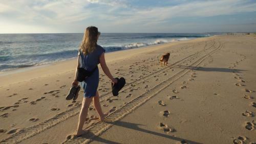 Apartamento Beachfront, Sun, Sand & Fun - Cozy 1 Bdr Apt