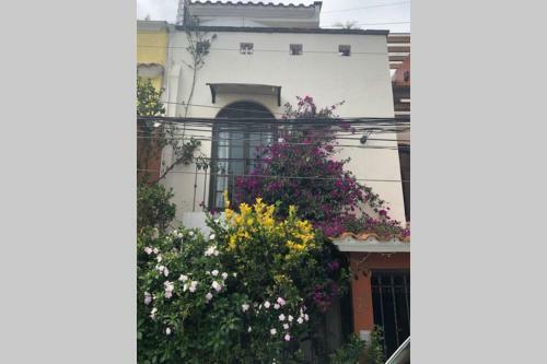Apartamento Amplia Habitaci�n Tipo Ejecutiva Con Ba�o Privado