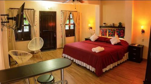 Apartamento Casa Para Acampar