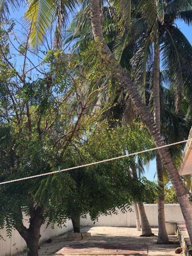 La Casita Playera De Bartola