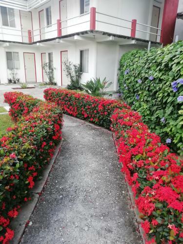 Hostal Las S�bilas Habitaci�n 5