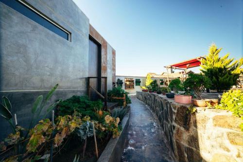 Lodge Entre Vides Valle De Guadalupe