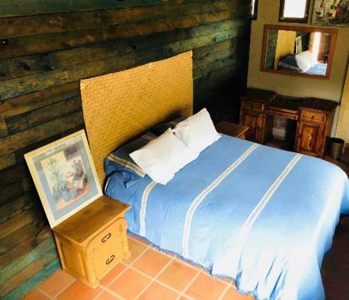 Hostal Guest House Nativo - Charming, Cozy & Affordable