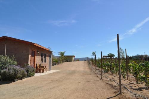 Apartamento Finca Del Pitic - Suite Lavanda