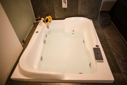 Apartamento Hotel Rm Avandaro