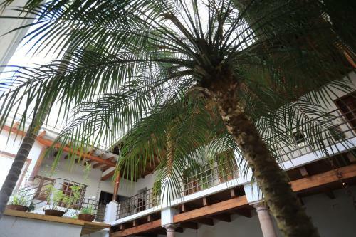 Hotel La Dorada Town View