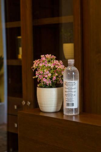 Hotel Boutique Sayab