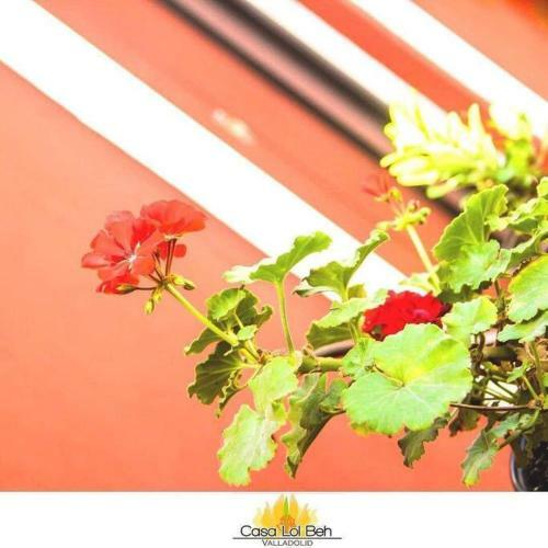 Apartamento Teresita Cozy Room