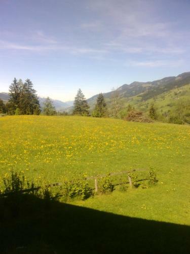 Apartamento Haus Riedmann