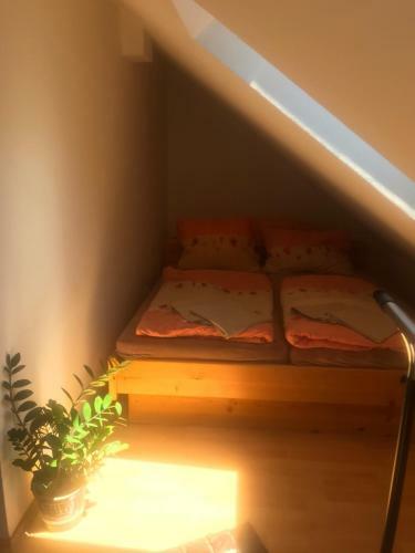 Apartmany Lend