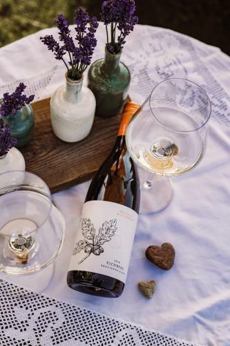 Agroturismo Weingut Kollerhof Am Eichberg