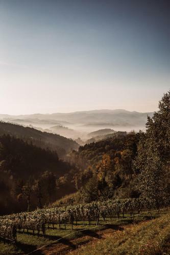 Agroturismo Weingut Kollerhof Am Eichberg