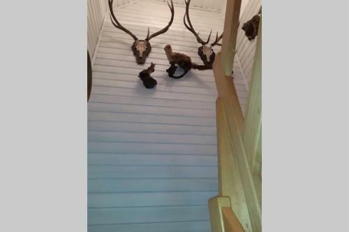 Gem�tliches Ferienhaus Im Ennstal