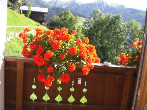 Apartamento Haus Strieder - Obergail