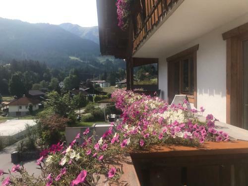 Apartamento Haus Goldeck