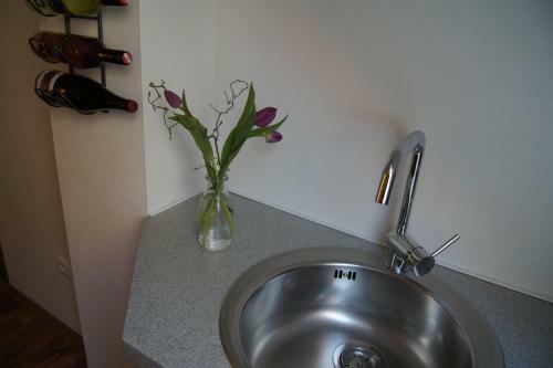 Apartamento Riegler`s Buschenschank