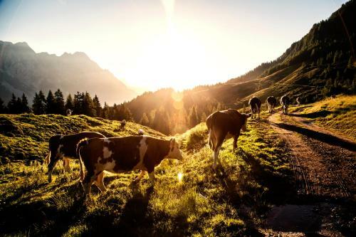 Apartamento Kaiserhaus Leogang