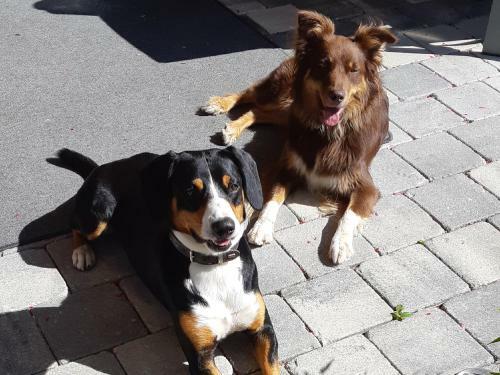 Apartamento Appartement Haus Petra