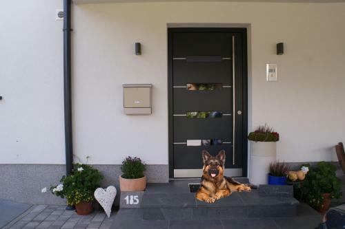 Apartamento Appartement Waldblick