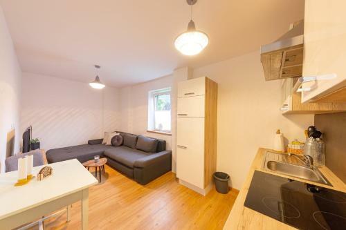 Apartamento Ledererhof Lunz Am See