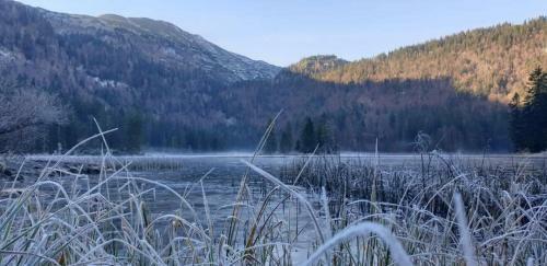 Apartamento Ledererhof Lunz Am See