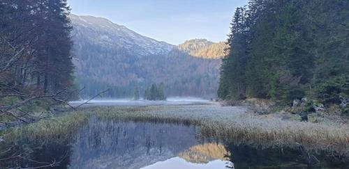 Apartamento Ledererhof Lunz Am See