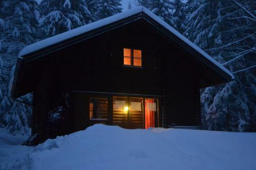 Ferienh�tte Hochalm