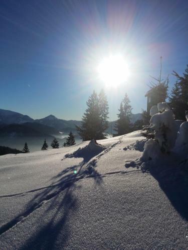 Ferienh�tte Hochalm