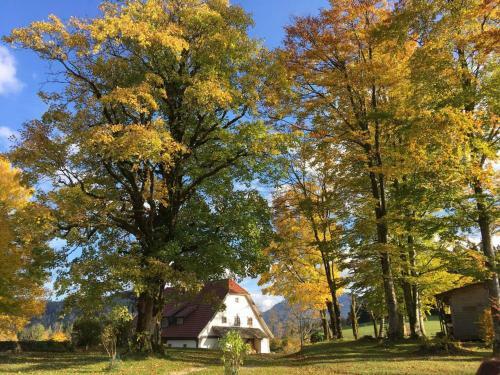 Chalet Hinterbreiteneben
