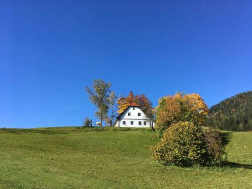 Chalet Hinterbreiteneben