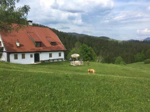 Chalet Hinterbreiteneben