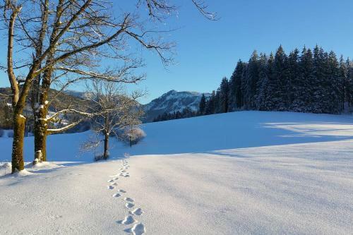 Chalet Hinterbreiteneben
