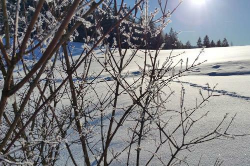 Chalet Hinterbreiteneben