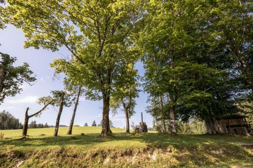 Chalet Hinterbreiteneben