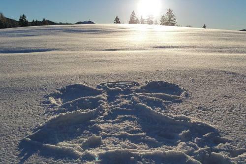 Chalet Hinterbreiteneben