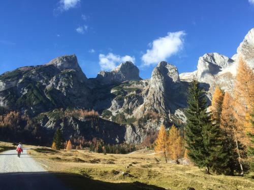 Apartamento Ferienwohnung Top 3