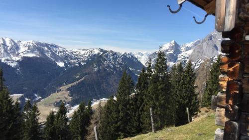 Apartamento Ferienwohnung Top 3