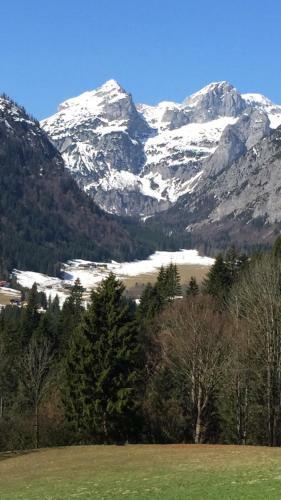 Apartamento Ferienwohnung Top 3