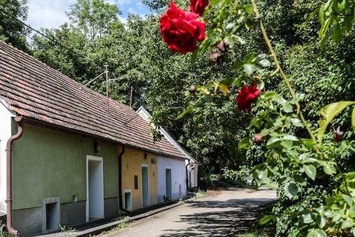 Hostal Pension Zur Weintraube
