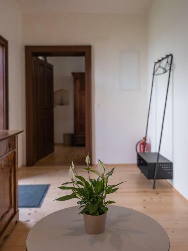 Aparthotel Tschardakenhof Appartements